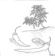 මිරිස් මුද්‍රණය කළ හැකි වර්ණ පිටු